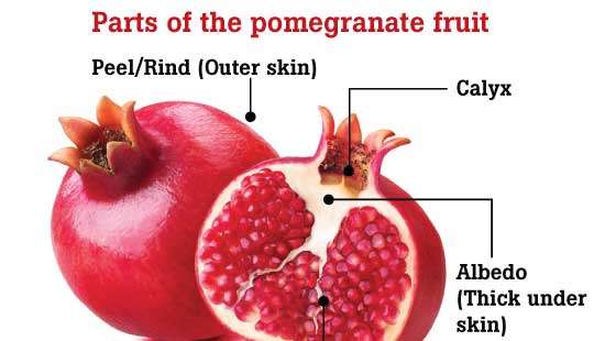 Nutritional and medicinal values of pomegranate