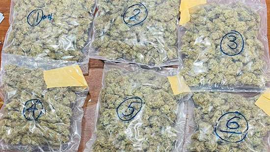 Customs seize parcel with hashish