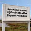 Decades-old Elephant Pass saltern to be activated fully to address salt shortage