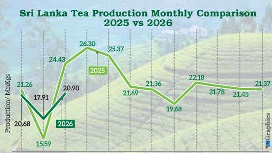 March tea output slides as all elevations weaken