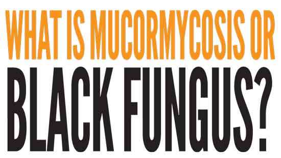 What is Mucormycosis or black fungus?