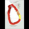 Rough seas and strong winds expected across Sri Lankan waters