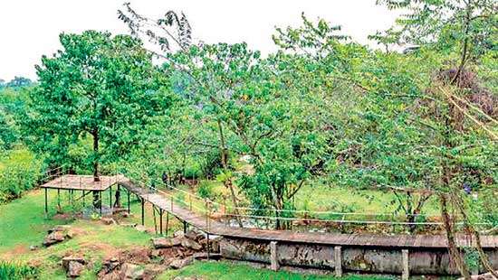 Hayleys Fabric drives biodiversity regeneration with Diyathuru Uyana Wetlands Park