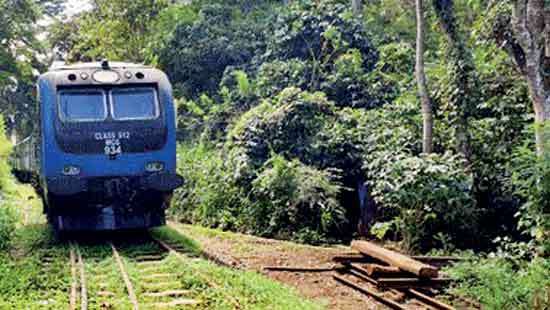 The loneliest train in the world?