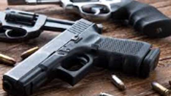 Former MPs asked to hand over firearms by December 30