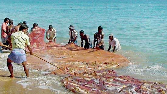 Bay of Bengal countries celebrate small-scale fisheries on World Fisheries Day