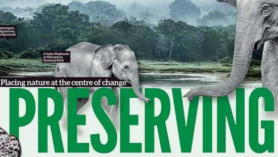 Placing nature at the centre of change: Preserving biological diversity