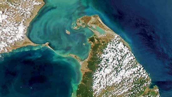 The Dawood Ibrahim–LTTE Nexus: Strategic Implications Across the Palk Strait