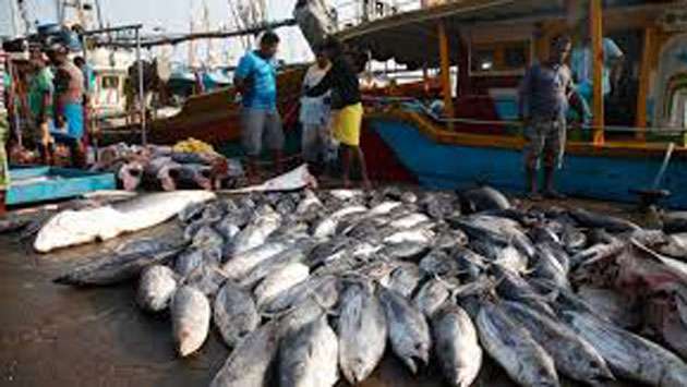 Strategic framework for local fisheries industry gets Cabinet approval