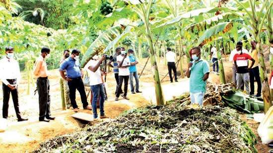 From battlefield to paddy field – A green revolution with veterans