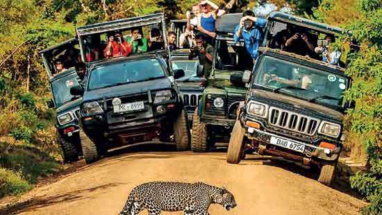 Yala National Park  overcrowded again