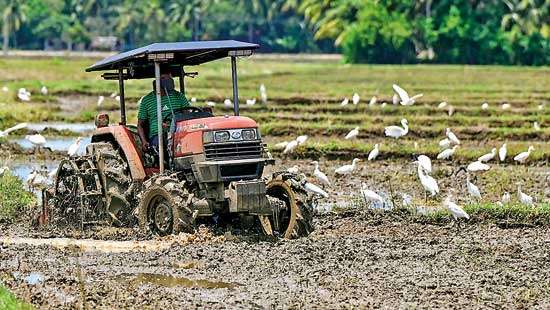 Why Sri Lanka must ‘borrow’ from China’s golden harvest