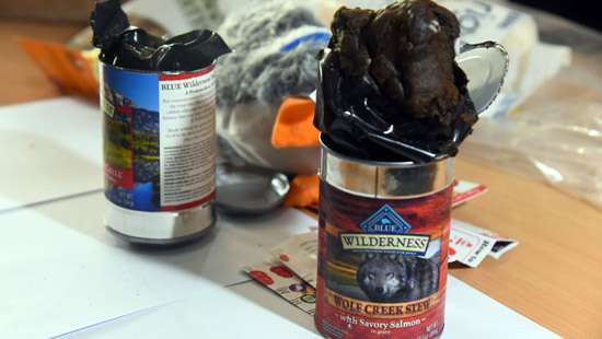 Hashish seize inside dog food cans