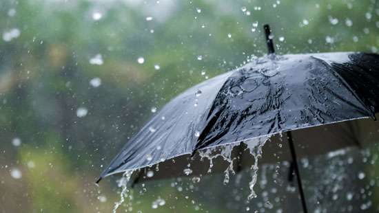 Heavy rain of 100mm after 2.00 p.m