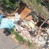 Garbage piles near health ministry raise dengue concerns