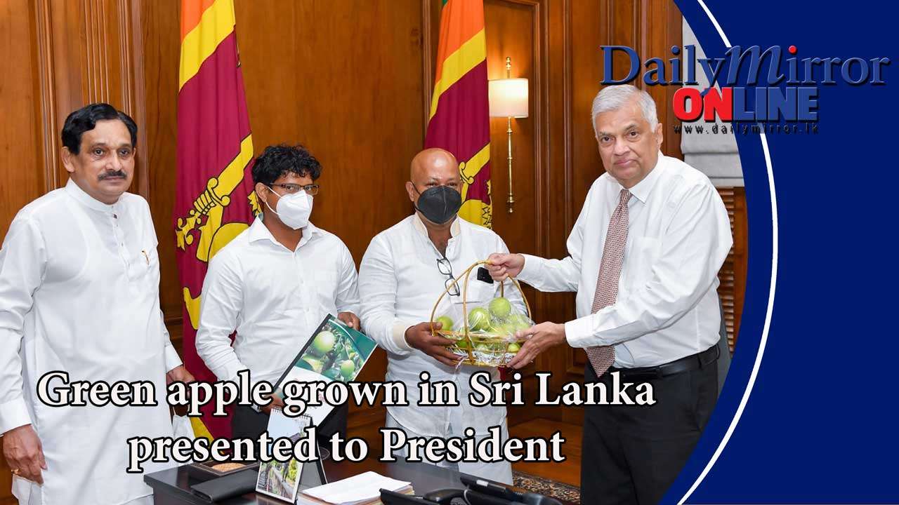 Green apple grown in Sri Lanka presented to President