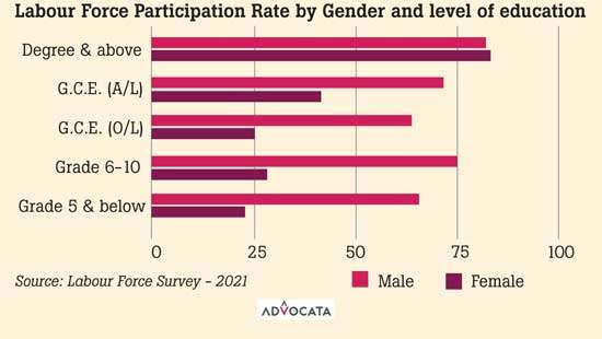 From Education to Employment: Understanding the Gender Gap in the Workforce