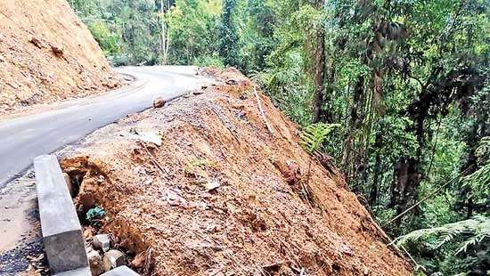 Threatened biodiversity hotspot on the road to destruction