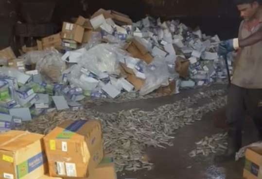 Some 50,000 kgs shrimp meant for destruction found heading to market