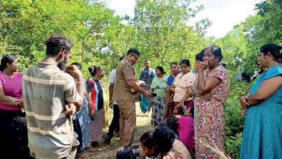 Father of two shot dead after entering cashew estate