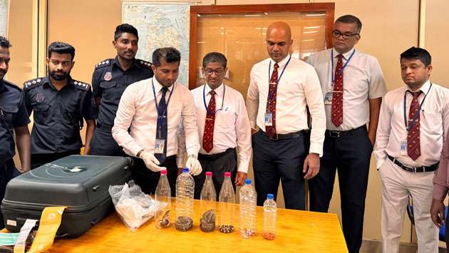 Woman arrested for attempted smuggling of exotic snakes at BIA