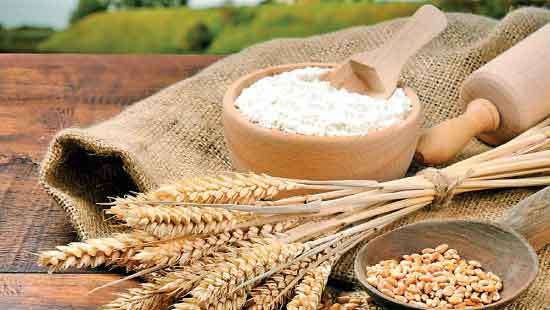Sri Lanka’s wheat consumption rises on economic and tourism revival