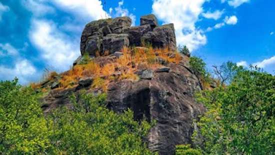 Female undergrad falls to death from Uthuwankanda mountain