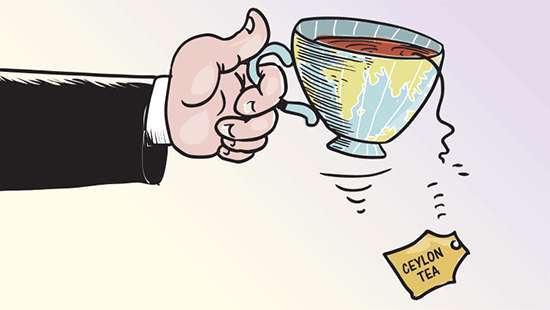 Why is Ceylon Tea losing steam?