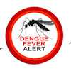 Dengue cases pegged to surge, calls for clean surroundings