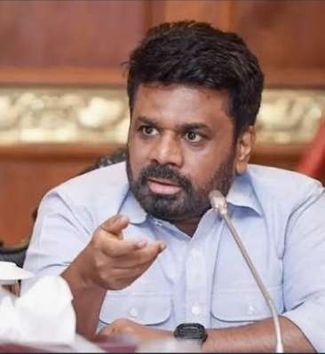 Government to allow rice for beer, animal feed and value-added products