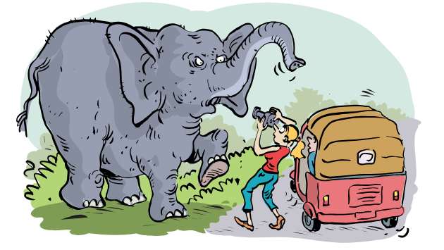 Elephant chases after Russian woman
