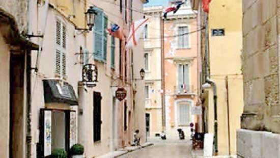 St Tropez Leggie Blondes and Short Dogs