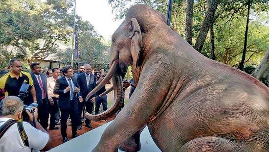 Pinnawala Elephant Orphanage celebrated ‘Golden Jubilee’