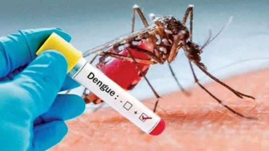 Dengue cases in 2023 three times higher than last two years