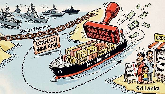 Middle East War: Essential food commodities’ prices bound to rise as global shipping costs increase