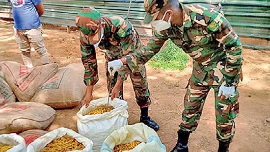 Troops apprehend two suspects with smuggled Turmeric