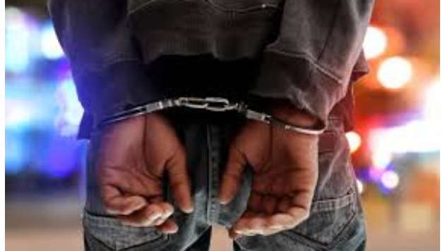 Two Indian nationals arrested at BIA with Rs. 100 Mn worth of Kush