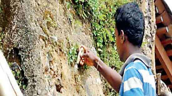 PRESERVATION  OF PRIVATE HOUSES