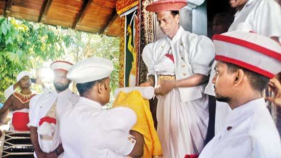 Kandy Esala Perahera heralded with ‘kap’ planting