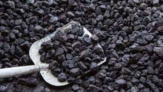 Coal procurement; tender awarded to unregistered company in 2022: COPE