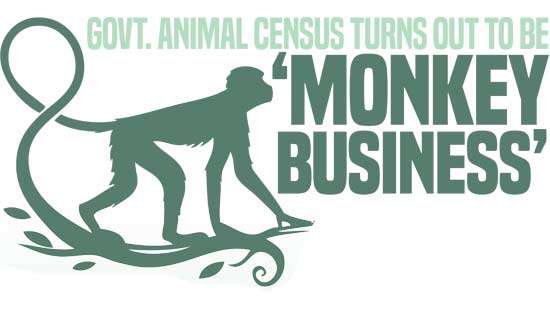 Govt. animal census turns out to be  ‘monkey  business’