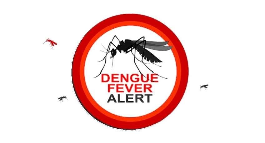 Dengue cases exceed 65,000 mark