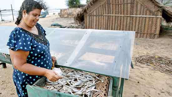 Rising sea, mega projects push Mannar  women towards uncertainty