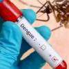 Over 3,000 dengue cases reported within three days