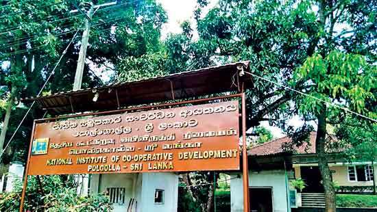 NICD and the Co-operative Path of Education and Democracy