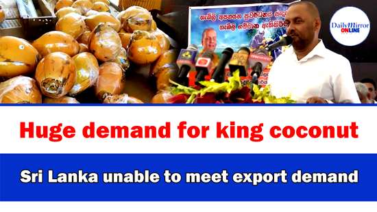Huge demand for king coconut ,Sri Lanka unable to meet export demand