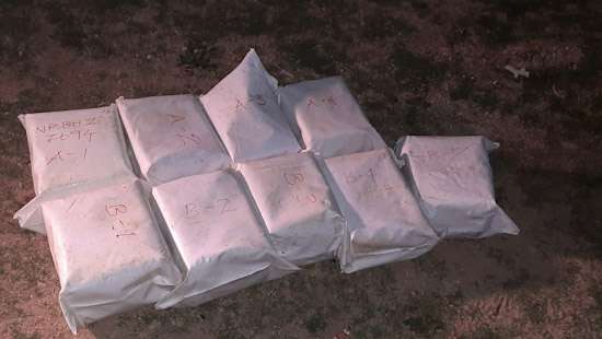 Stock of Kerala Cannabis worth over Rs.14 Mn seized in Point Pedro