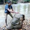 Gruesome recovery: head of elephant found