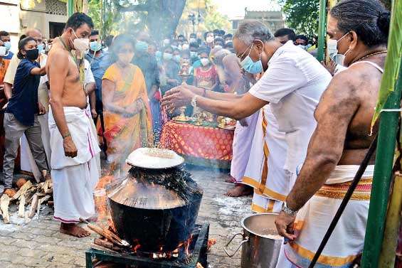 Thai Pongal festivities at Sivan Kovil in Kochchikade, Colombo