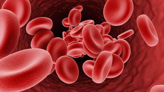 Thousands of children suffer from Thalassemia